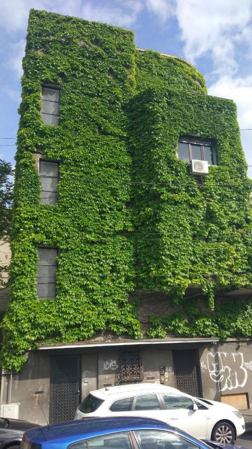 Central Green House ブカレスト エクステリア 写真